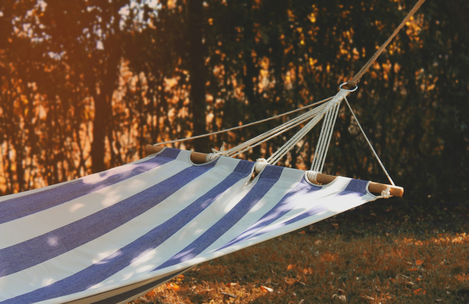 A blue and white striped hammock hanging in a garden at golden hour